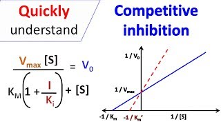 Competitive inhibition [upl. by Schafer]