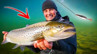 Catches 5 Different Species on Spin Fishing Crazy Fishing in Bergeforsen  Team Galant [upl. by Lietman]