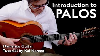 Introduction to Palos  Flamenco Guitar Tutorial by Kai Narezo [upl. by Alvis288]