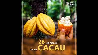 Dia do Cacau [upl. by Ziguard]