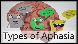 Aphasia Types Mnemonic [upl. by Jak]