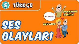 Ses Olayları  5 Sınıf Türkçe evokul Kampı [upl. by Naejeillib441]