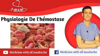 2 Physiologie de LHémostase  Physiologie 2ème MED [upl. by Hsemar5]