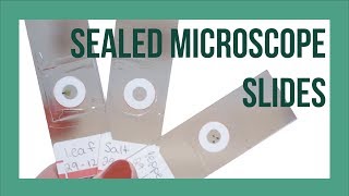 Sealed Microscope Slides  DIY SemiPermanent Microscope Slides [upl. by Llehcear752]