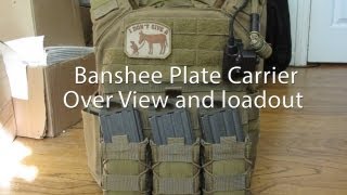 Shellback Tactical Banshee Plate Carrier Overview [upl. by Oriel644]