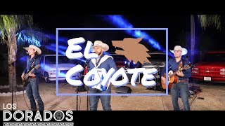 Los Dorados  El Coyote En Vivo [upl. by Yslek]