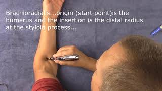 Meridian Pen Electric Acupuncture pen and how it works [upl. by Nawaj]