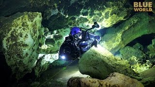 Florida Cave Diving  JONATHAN BIRDS BLUE WORLD [upl. by Nicolau238]