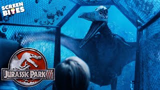 Pterodactyl Bird Cage Scene  Jurassic Park III 2001  Screen Bites [upl. by Esil]