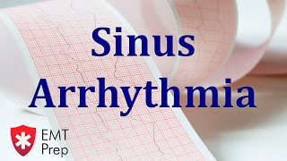 Sinus Arrhythmia  ECG Rhythm Series [upl. by Yauq911]