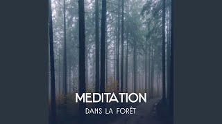 Forêt tranquille  Musique d’ambiance [upl. by Chamberlain]