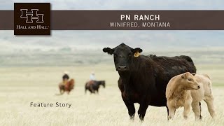 PN Ranch  Winifred Montana [upl. by Assirahs683]