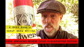 Budweiser Beer Review by A Beer Snobs Cheap Brew Review [upl. by Acirema]