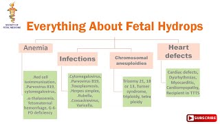 Everything About Fetal Hydrops [upl. by Nomahs999]