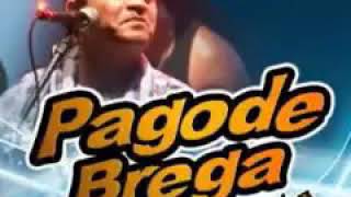 Jumento Desembestado VOL 1 Pagode Brega [upl. by Acisse219]