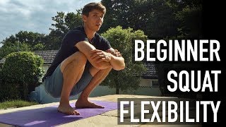 15 Minute Beginner Squat Flexibility Routine FOLLOW ALONG [upl. by Alene633]