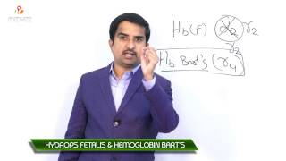 hemoglobin barts hydrops fetalis syndrome  Usmle quick review [upl. by Analat]