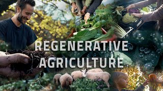 What is Regenerative Agriculture [upl. by Nivrad479]