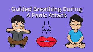 Guided Breathing Exercise Meditation Panic Attacks amp Anxiety [upl. by Lledroc]