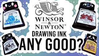 Painting with Drawing inks  Trying out Windsor and Newton drawing Inks [upl. by Ynnav]