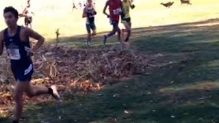 Raw Runner Hit By Deer During Race [upl. by Trueblood789]