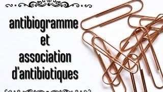 antibiogramme et association dantibiotiques [upl. by Relyuc338]