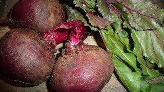 How To Juice Beets Recipe [upl. by Saltzman]