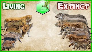 Big Cats Size Comparison LİVİNG EXTİNCT [upl. by Wons905]