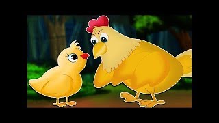 El cuento del pollito  Cuentos infantiles [upl. by Fia]