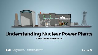 Understanding Nuclear Power Plants Total Station Blackout [upl. by Idelle]