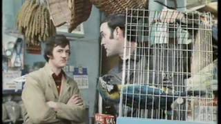 Monty Python The Parrot Sketch amp The Lumberjack Song movie versions HQ [upl. by Yhtomit374]