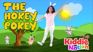 The Hokey Pokey action song with lyrics [upl. by Estes]