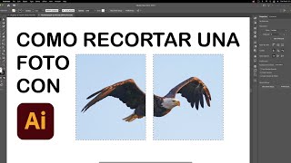 Como recortar una foto en illustrator 2021 [upl. by Acinoev]