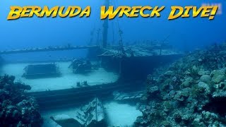 Diving the Hermes Wreck Bermuda The Bermuda Triangle [upl. by Enimasaj853]