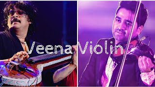 Veena Violin Duo  Rajhesh Vaidhya amp Abhijith PS Nair [upl. by Leahcimnaj]