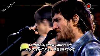 【和訳】Dani California ‐ Red Hot Chili Peppers Live in Chorzów [upl. by Nawj]