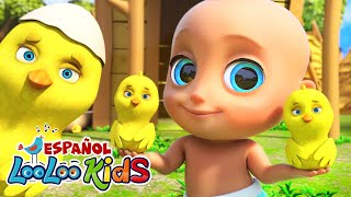 🐤🐥Los Pollitos Dicen Pio Pio  ¡Canciones Infantiles LooLoo [upl. by Jerman]