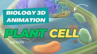 The Secret World Inside Plant Cells  3D Animation Reveals [upl. by Perrin]