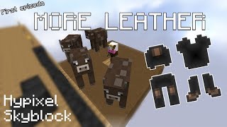 Hypixel SkyBlock getting more leather guide [upl. by Sewoll378]