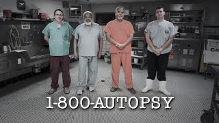 DOCS 1800AUTOPSY [upl. by Hosfmann737]