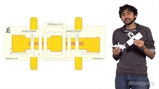 Manu Prakash Stanford Foldscope Origami Based Paper Microscopes [upl. by Anayek]