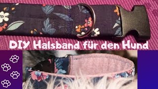 DIY Hundehalsband 🐶  Schwarzwaldnasen [upl. by Nnasor]