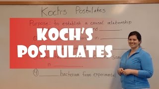 Kochs Postulates [upl. by Afihtan]