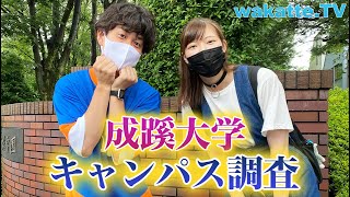 お金持ちが多いって本当？成蹊大学キャンパス調査！【wakatte TV】563 [upl. by Mitzie270]