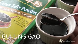 GUI LING GAO I CHINESE HERBAL JELLY [upl. by Malti476]