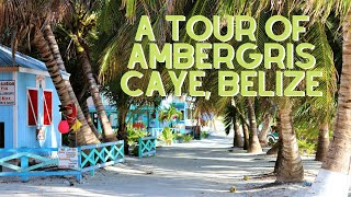 Tour of Ambergris Caye Belize [upl. by Satterlee]