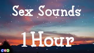 Lil Tjay  Sex Sounds  1Hour Loop   Lyrics [upl. by Enidanreb]