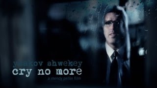 SHWEKEY  Cry No More [upl. by Eicyak]